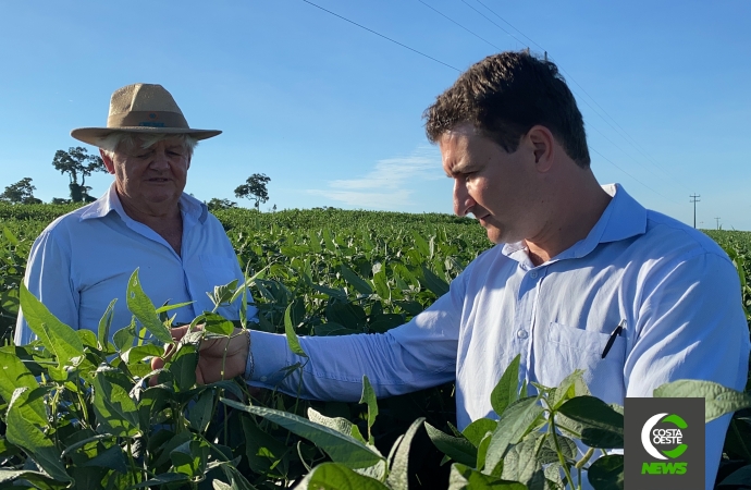 Lavouras crescem com a força do cooperativismo na região oeste do Paraná