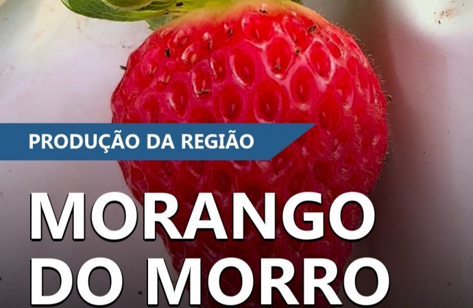 Expedição Costa Oeste – Morango do Morro