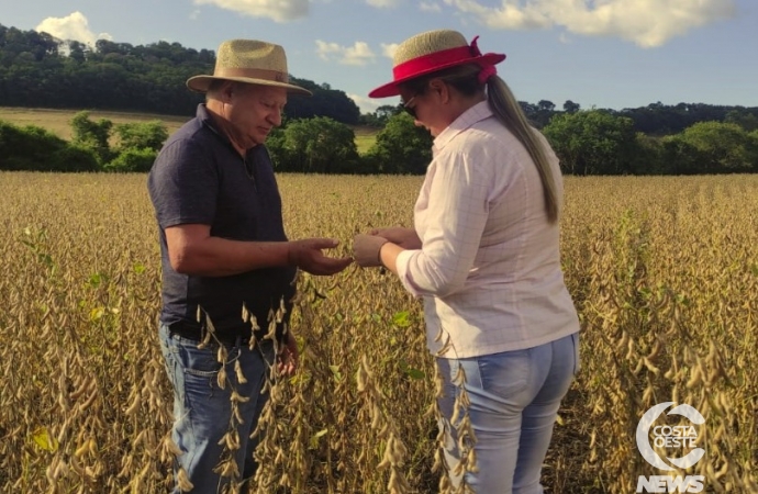 Expedição Costa Oeste: Produtor surpreende ao colher 100 sacas de soja por alqueire no oeste do Paraná