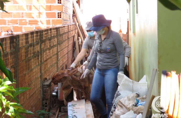 Explodiu: índice larval da dengue em Santa Helena está em 8.1% e acende risco de epidemia