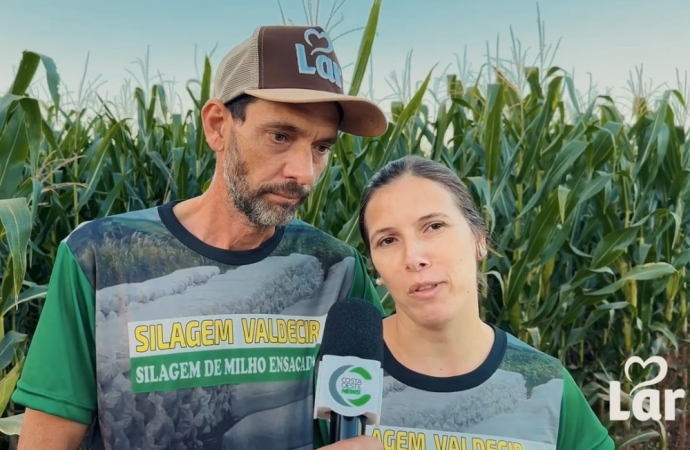 Família aposta na silagem de milho e transforma rotina no campo em negócio lucrativo