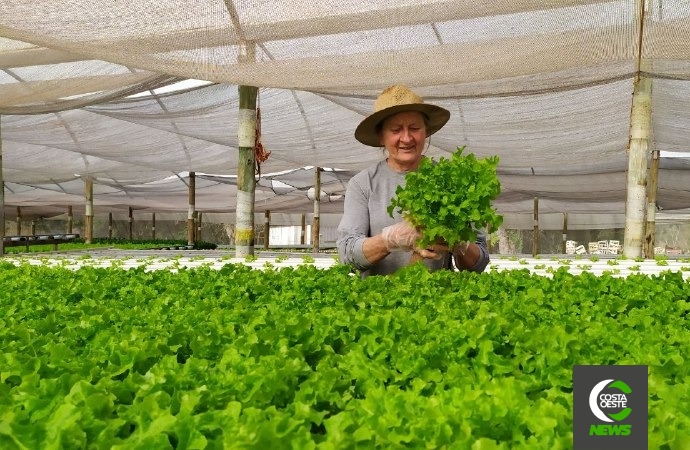 Família encontra vocação na produção de hortaliça hidropônicas