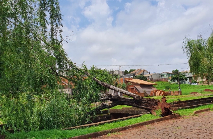 Forte chuva causa prejuízo em Medianeira