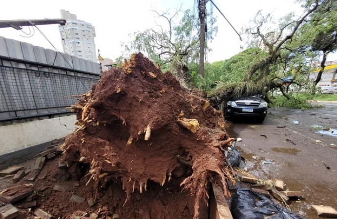 FOTOS: Forte rajada de vento causa estragos em Foz do Iguaçu