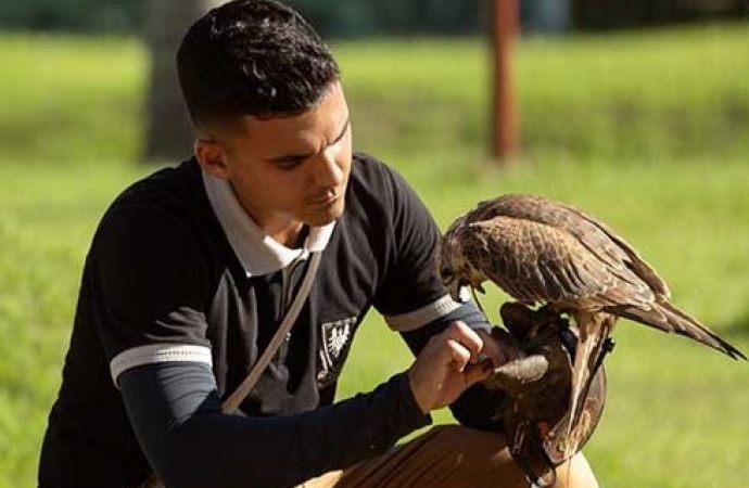 Foz do Iguaçu: Em agosto, pais entram de graça no Dreams Eco Park