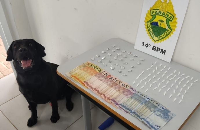 Foz: Polícia apreende drogas e detém menor durante operação no Campos do Iguaçu