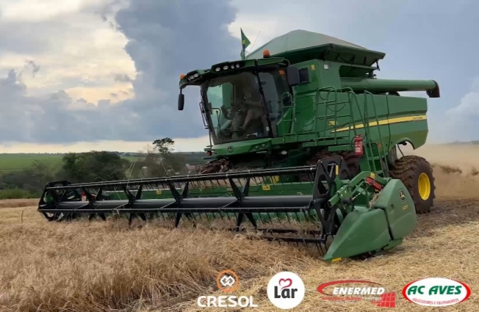 Geadas e chuvas geram prejuízos em lavoura de trigo e retarda plantio da soja