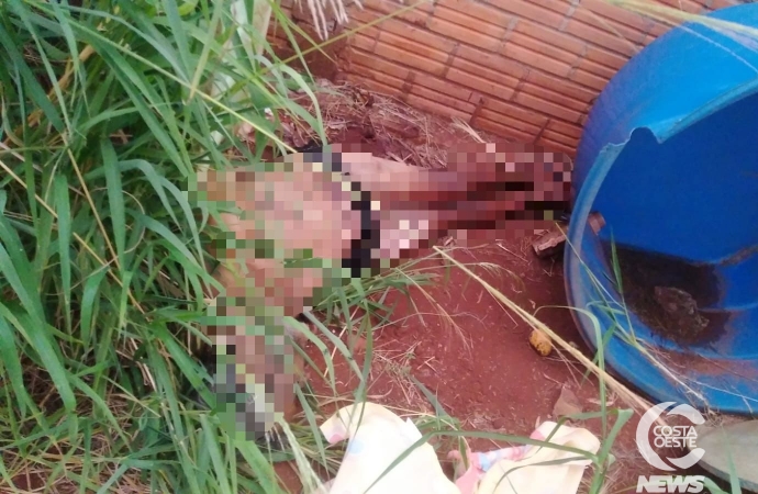 Homem é encontrado morto no quintal de casa em São José das Palmeiras