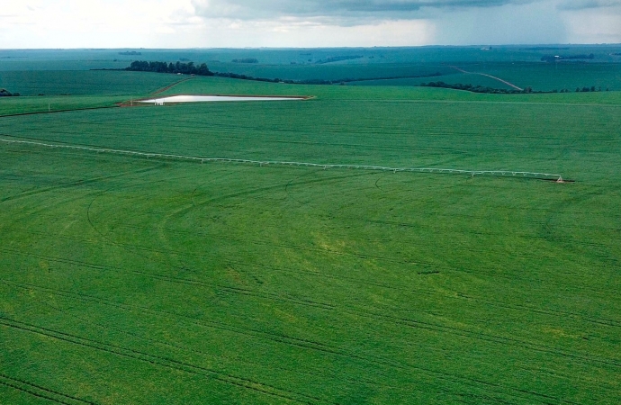 IDR-Paraná alerta produtores de milho e cereais de inverno sobre atividades do El Niño