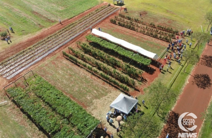 IDR-Paraná organiza a 11ª Jornada Tecnológica de Fruticultura, em Santa Helena