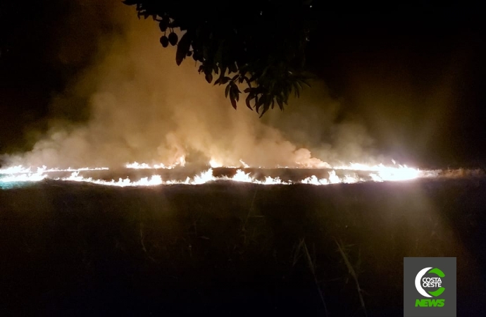 Incêndio em vegetação é registrado no Balneário de Santa Helena; veja o vídeo