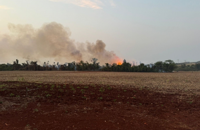 Incêndio em área de mata próximo à Plantiagro causa grande prejuízo ambiental