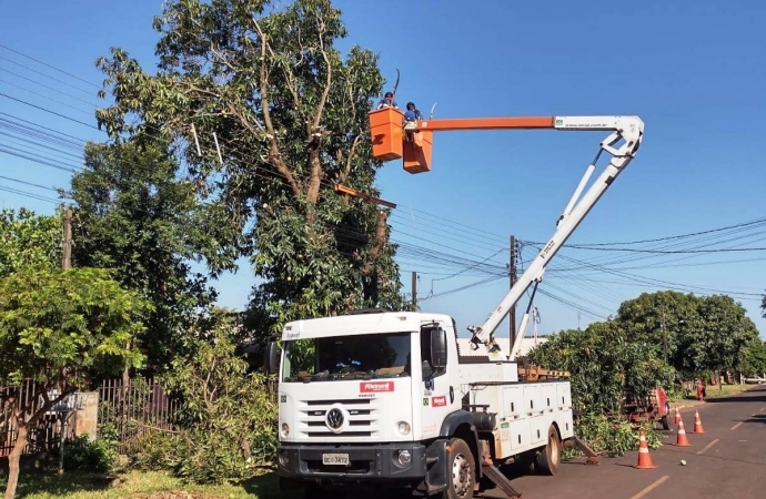 Iniciada a poda de árvores no perímetro urbano de São Miguel do Iguaçu