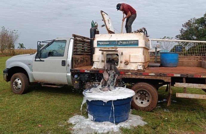 Itaipu conclui distribuição de peixes e cestas básicas para indígenas de Santa Helena e Itaipulândia