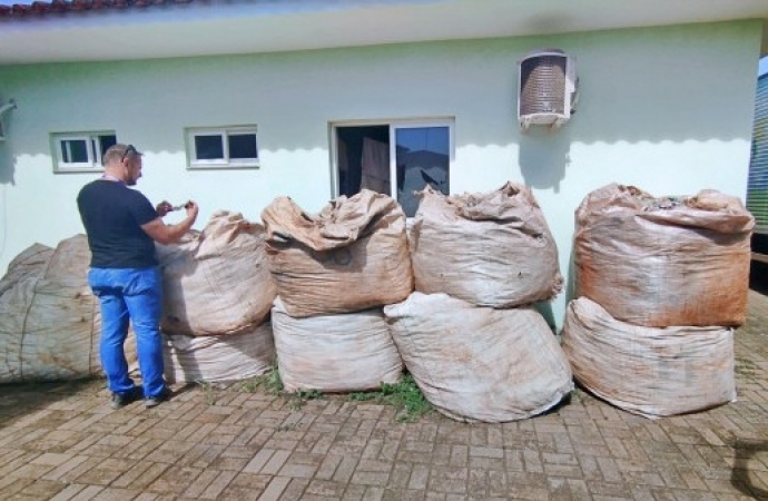 ITAIPULÂNDIA: 345 kg de cartelas, seringas e medicamentos descartados são recolhidas pela Assoremi