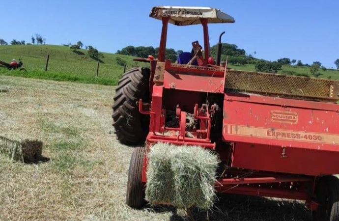 Itaipulândia incentiva a produção de Feno