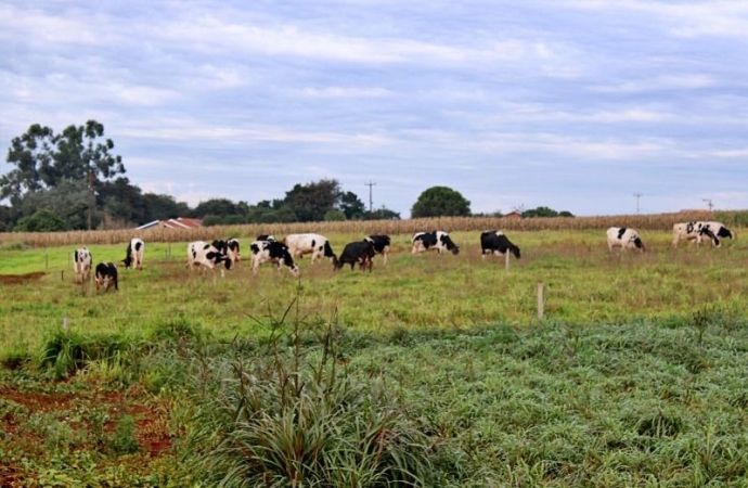 Itaipulândia: Município destina 14,5 milhões de reais para Programas da agricultura