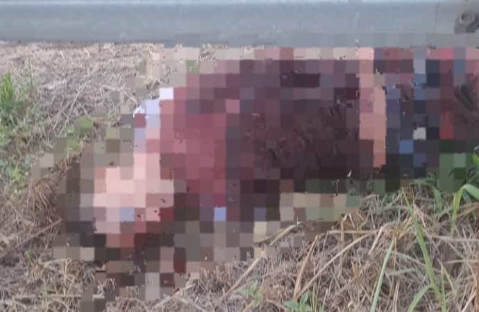 Jovem encontrado morto às margens da BR 277 em Medianeira