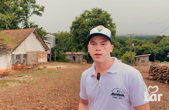 Jovem revoluciona criação de ovinos em Serranópolis do Iguaçu