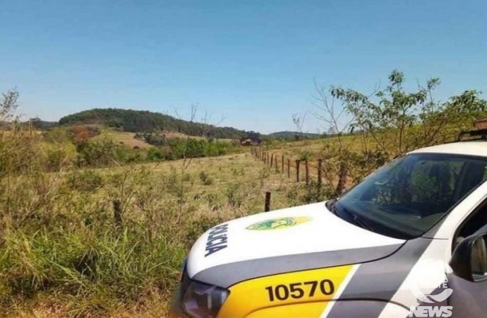 Ladrões abatem gado em propriedade rural de Diamante do Oeste e PM encontra celular deixado pelos suspeitos
