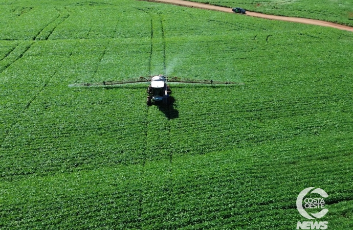 Lavoura da Soja 2025/2026