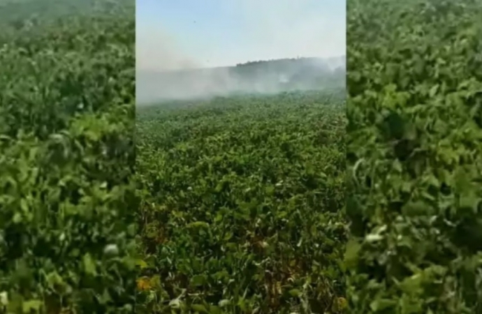 Lavouras de soja pegam fogo no Paraguai