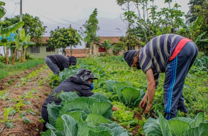 Lei prevê socorro de R$ 2.500 para agricultores familiares na pandemia