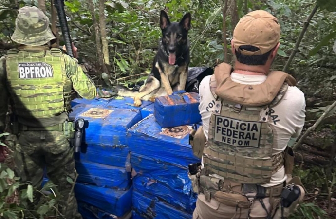 Mais de uma tonelada de maconha é apreendida em Santa Helena