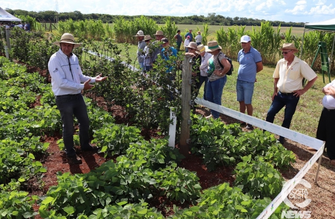 Manejo de frutas é tema de evento do IDR-Paraná, em Santa Helena