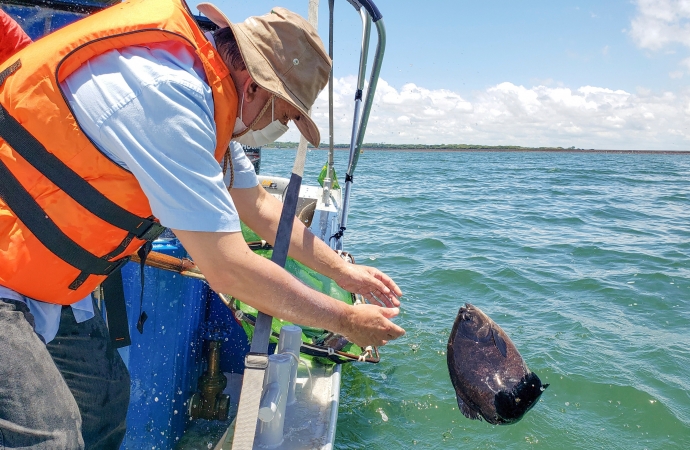 Marcação de peixes pela Itaipu tem primeiros resultados