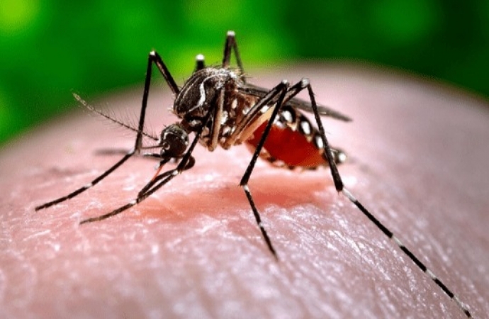 Medianeira entra na lista de cidades em epidemia de dengue