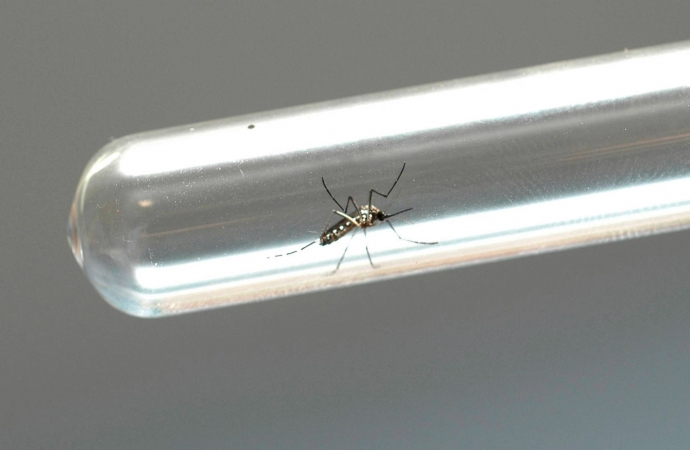 Mesmo nos dias mais frios do ano agentes de Endemias de Missal encontram criadouros dos mosquitos da dengue