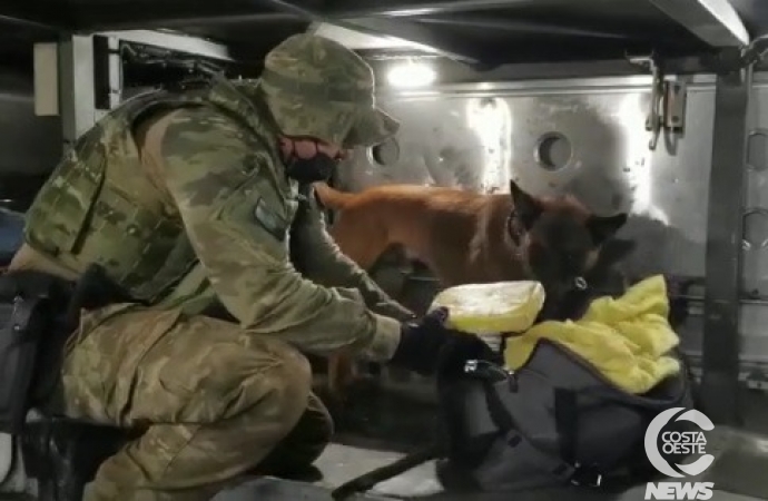 Morador de Santa Helena é preso com 10 quilos de maconha em Toledo (vídeo)