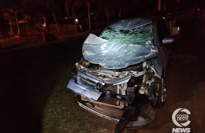 Motorista fica ferido após atropelar bovino na PR-874, em Santa Terezinha de Itaipu