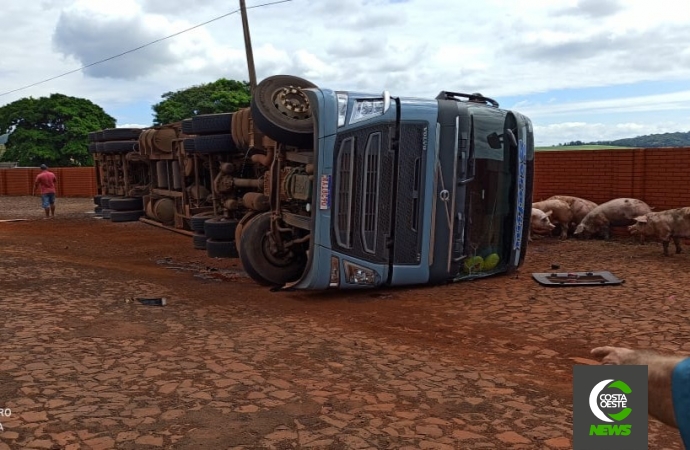 Motorista tomba carreta carregada com suínos na PR 317 em Santa Helena