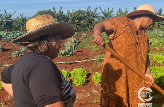 Mulheres transformam comunidade com plantio de hortaliças