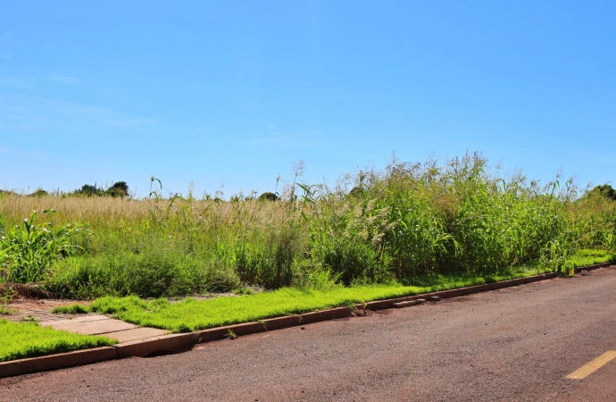 Multa será aplicada a proprietários de terrenos baldios em Itaipulândia