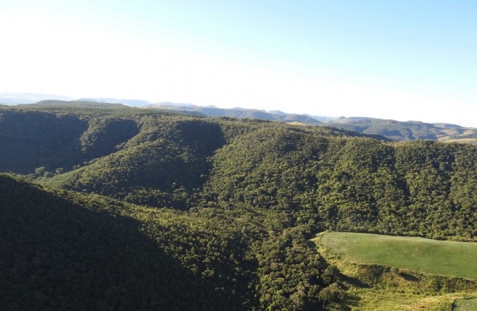 Municípios do Paraná devem cadastrar suas áreas de conservação até o dia 30 de julho