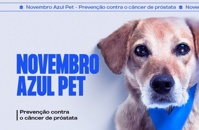 Novembro azul: Câncer de próstata também pode atingir os animais de estimação