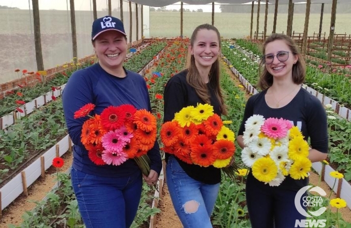 Onde prospera milho e soja três irmãs decidiram inovar cultivando flores