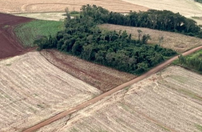Operação embarga propriedades no Paraná por desmatamento e aplica multas de R$ 120 mil reais