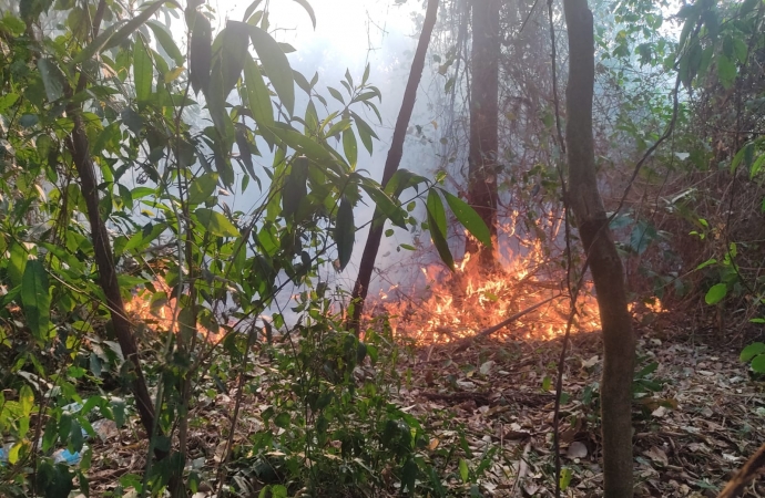 Órgãos de Fiscalização tem recebido diversas denúncias de incêndios ambientais em Missal