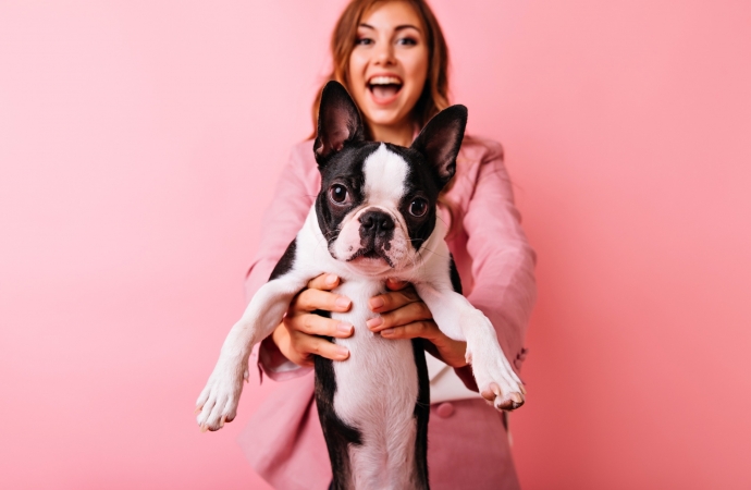 Outubro Rosa Pet: prevenção do câncer de mama em cadelas e gatas é foco do Hospital Veterinário UNIGUAÇU neste mês
