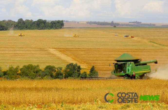 Paraná deve produzir 24 milhões de toneladas na safra de verão