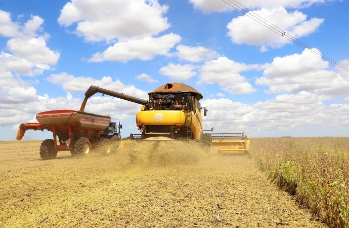 Paraná inicia colheita da soja; quase 6 mi de hectares foram plantados no estado