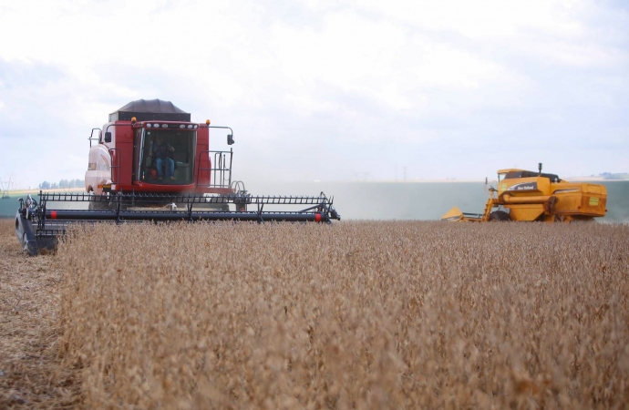 Paraná poderá produzir 42 milhões de toneladas de grãos
