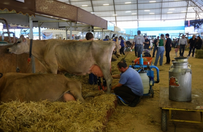 Paraná tem nove cidades na liderança da produção agropecuária nacional