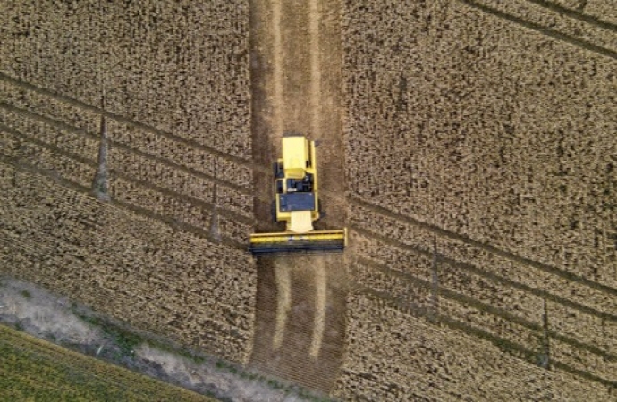 Paraná terá maior crescimento da produção agrícola entre estados do Sul e Sudeste em 2025