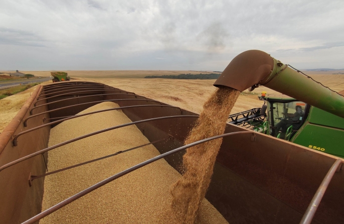 Paraná ultrapassa Rio Grande do Sul e vira quarta maior economia do Brasil