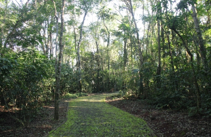 Parque Nacional do Iguaçu lança aplicativo de trilhas